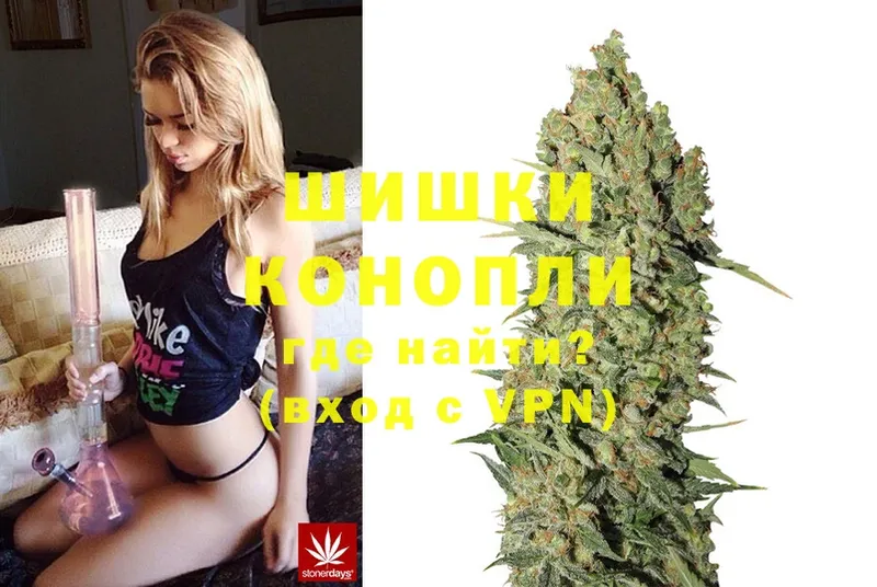 Бошки Шишки OG Kush  Луга 